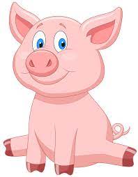 Liam Evers tweet media