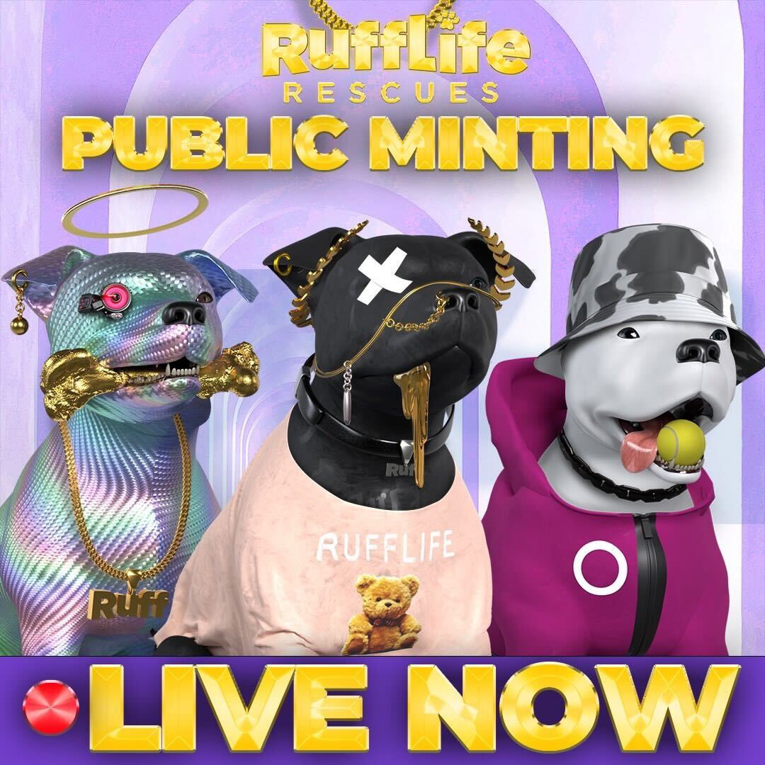 It’s only been a few hours since we launched!!! We love seeing all the RuffLife Rescues that have been adopted on to the Solana blockchain. 🐶

Together we are stronger 🔥