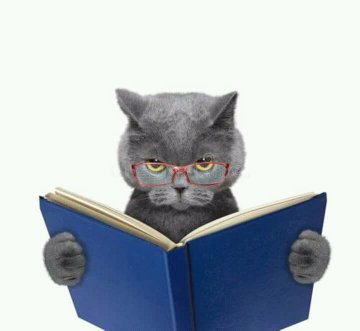Кот с указкой. Котёнок с книжкой. Умный кот в очках. Умные коты. Кот ученый.