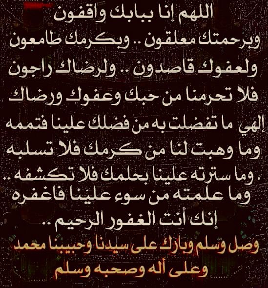 Hussam Yosri (@samoyosri) on Twitter photo 