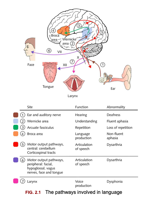 Nicole Somerville tweet media