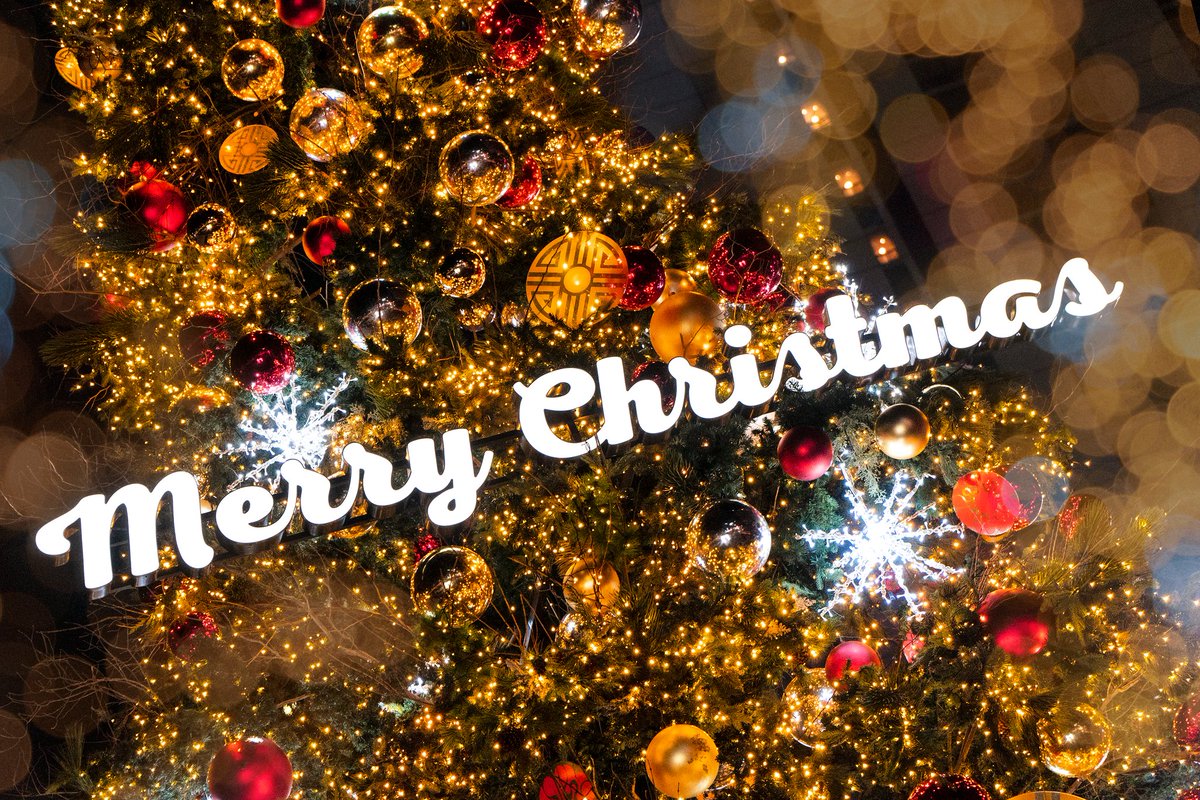 하여간 크리스마스 하나도 기대 안 된다....