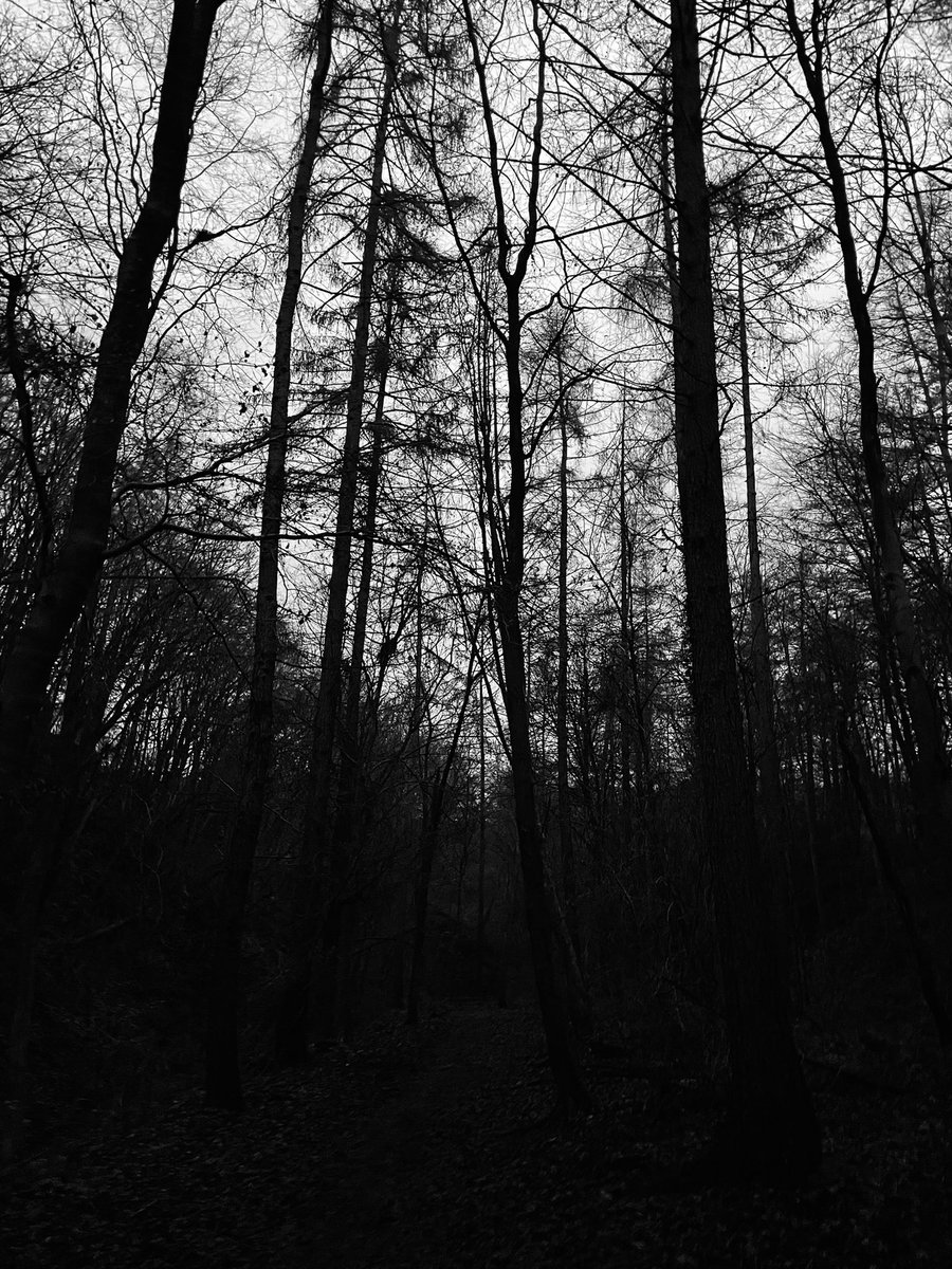 Dog walking is thinking time for me.This morning it was me, Milo &amp; a solitary deer. Blissfully quiet &amp; hugely calming. 2 days until the ‘out of office’ is on.
We’re nearly there…
#businessdevelopment  #marketingstrategy  #marketingplanning #marketingexpert #businessgrowthexpert