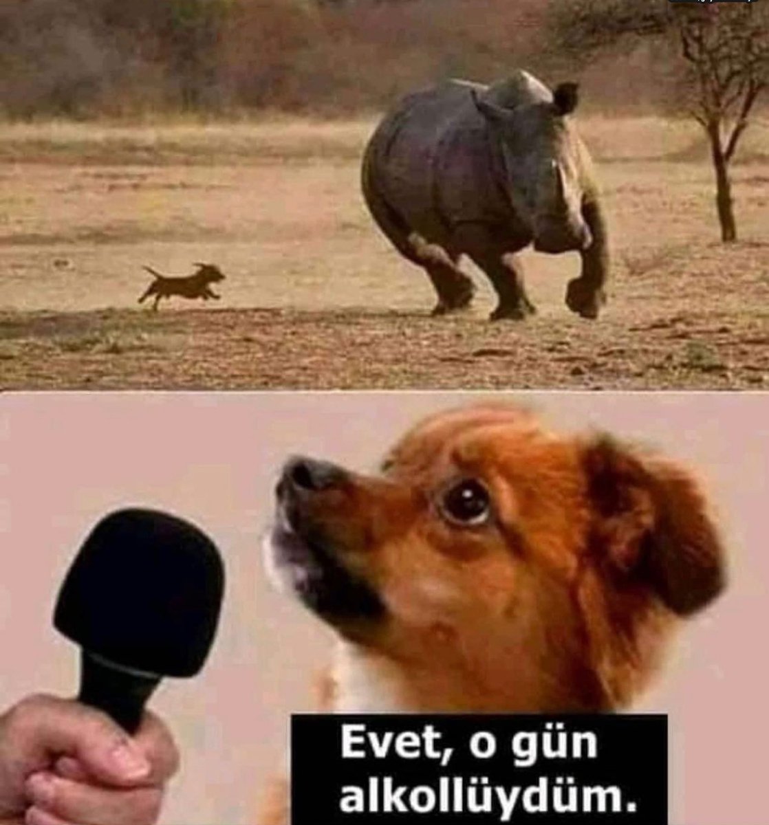 R (@wraithi_) on Twitter photo 