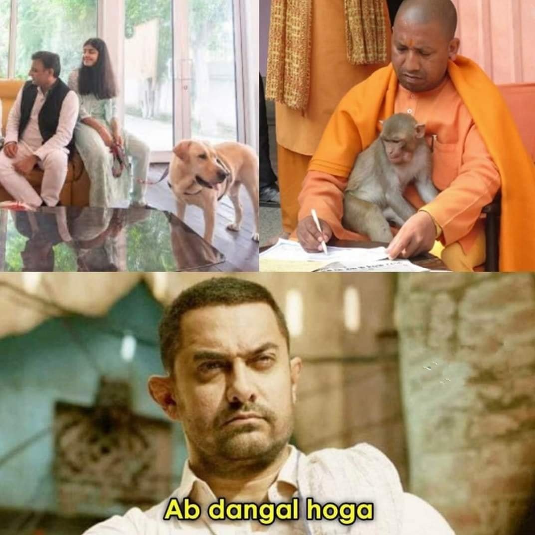 Sneghasimple's tweet photo. #dogvsmonkey https://t.co/ipy2DVS8hY