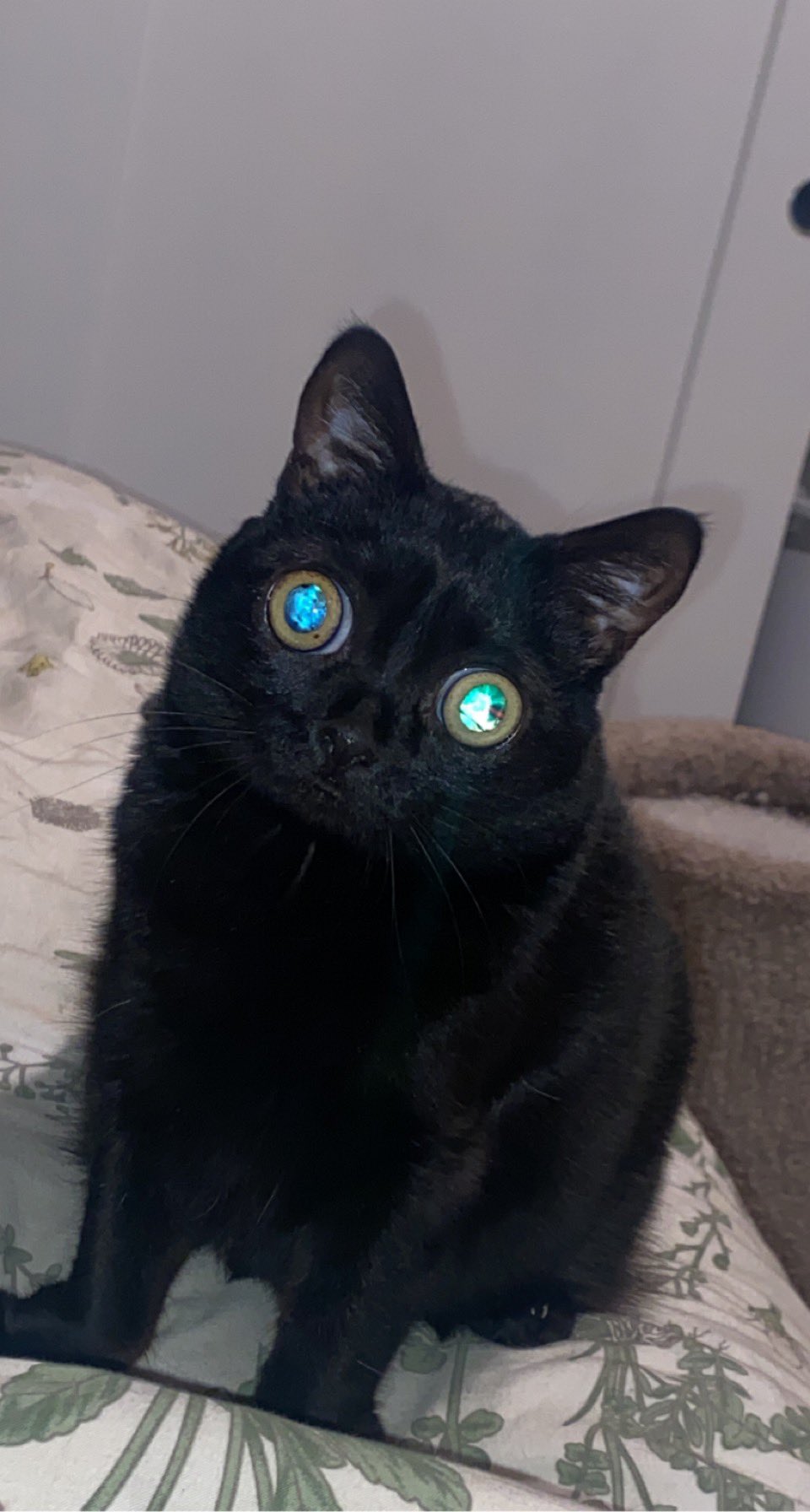 jinx on Twitter "WHY DOES SHE LOOK ELECTRONIC https//t.co/YiA2vcUykS