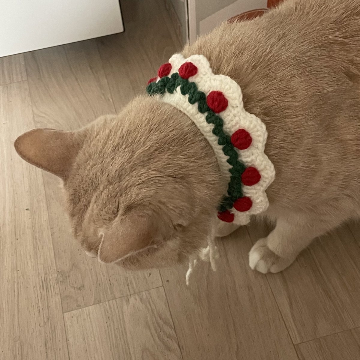 withmypotato's tweet photo. 감자 이미 크리스마스 https://t.co/KFz06XHt5S