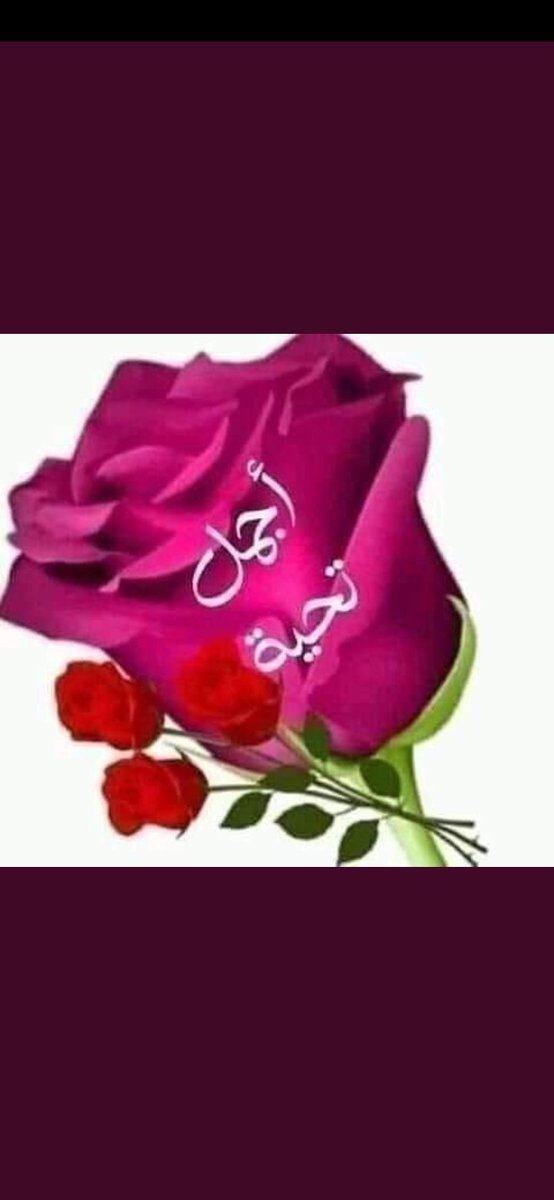 السلبندي الغريب (@alslbndy) on Twitter photo 