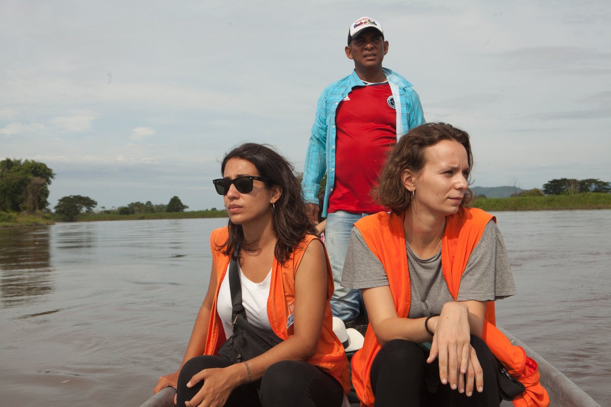 IAP ActionPeace tweet media