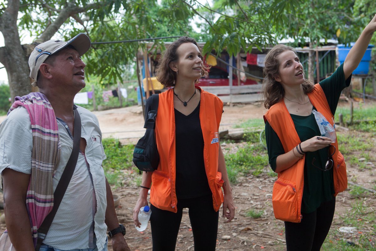 IAP ActionPeace tweet media