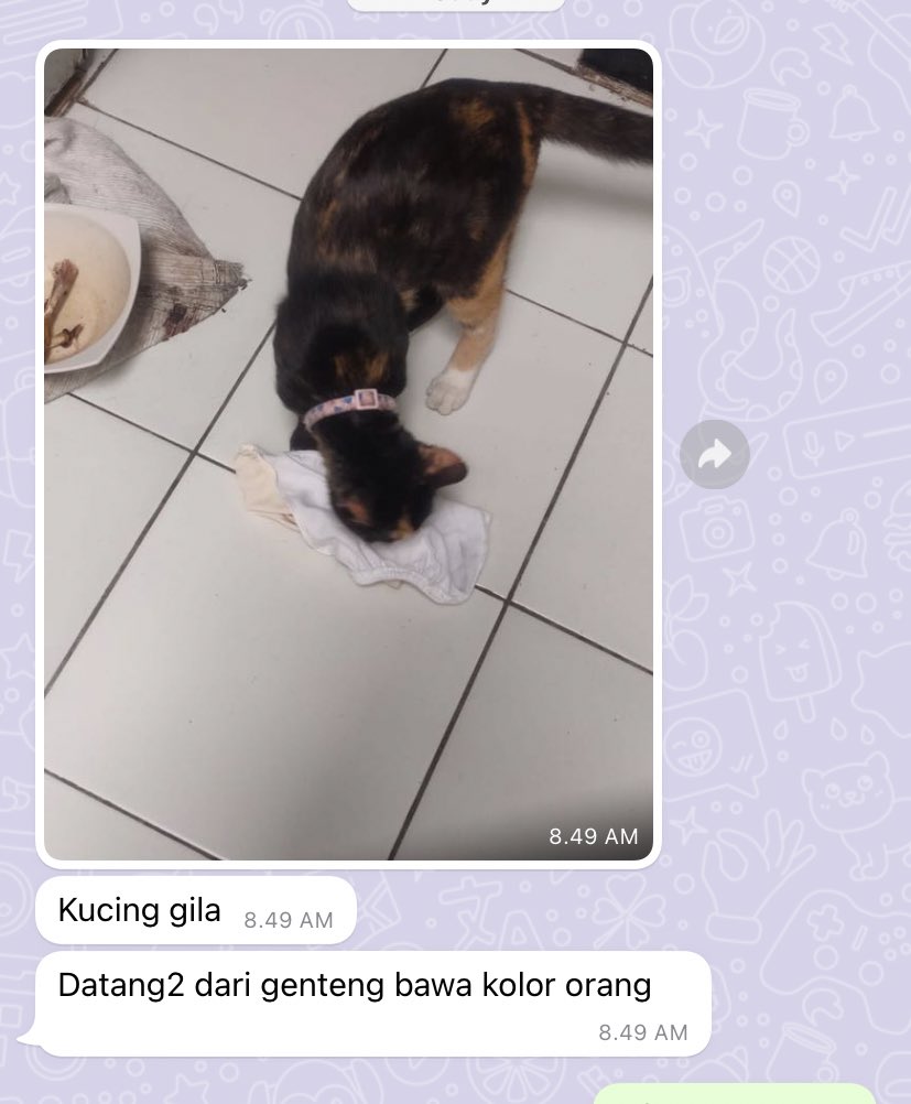 YaAllah maafin perbuatan kucing hamba YaAllaaaahhh😭😭😭😭😭😭😭😭😭 kcg! gileee