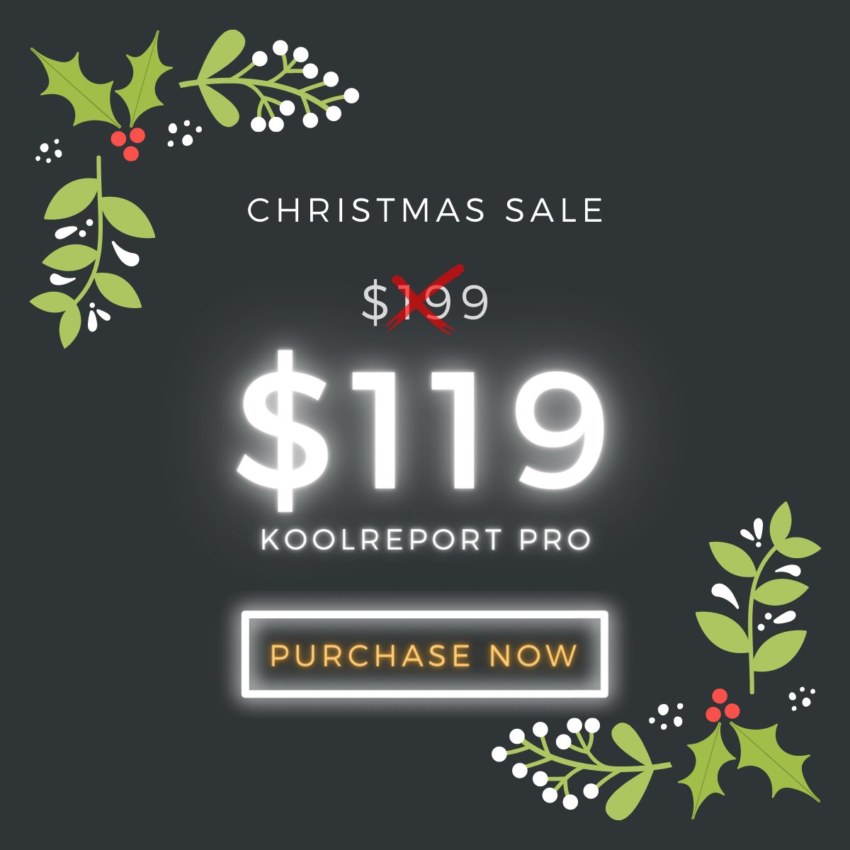 GetKoolReport's tweet photo. The best gift you could give yourself this festive season - save your time and effort in any reporting tasks of next year -  https://t.co/fc3JwATqJ4
#PHP #KoolReport #MerryChristmas https://t.co/EiU8EMoeIW