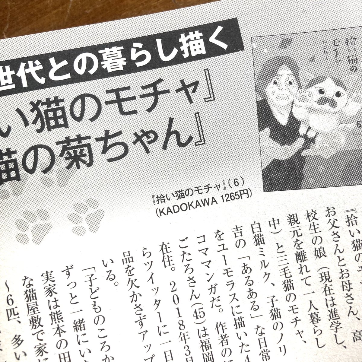 拾い猫のモチャ Twitter Search Twitter