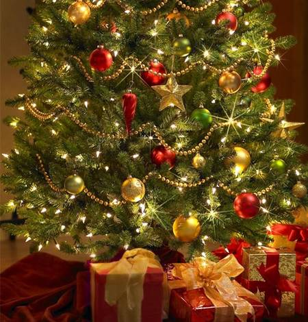 Bonjour, excellent mardi. Vais être peu présente jusqu'au 6 janv. Hi, wonderful tuesday. I'll be a little present til jan6. Ottimo martedi. Sarò poco presente fino al 6 gennaio. 🌹🙏💜😉🥰 Joyeux Noel à tous. Merry Christmas to everyone. Buon Natale a tutti.