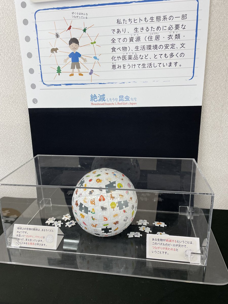 bistaraiemi's tweet photo. 近所にある環境学習センターの展示
日本人も絶滅危惧種かもよ？！
#岡山 #Okayama #ネパール #Nepal #ダフェプロジェクト #Danfe #多文化共生 #環境 #アスエコ #絶滅危惧種 #日本人 https://t.co/kCkn2qpNnK
