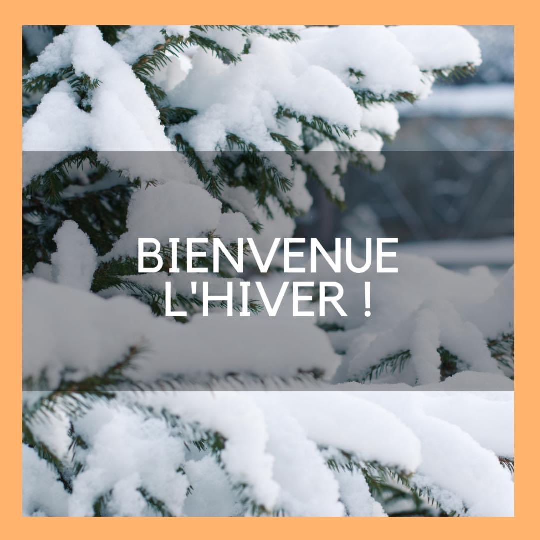 [L’HIVER] A quelques jour de Noël, nous voici déjà en hiver ! 🎄 A l’approche des fêtes, nous espérons que vous allez tous bien ! ✨ Que cette période soit douce et agréable pour vous et les personnes que vous aimez ! ❤️ Bel hiver à tous ! ❄️