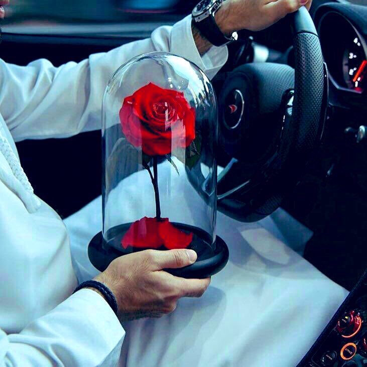 🦋
وعندما أغار عليك ؛ 
ذكرني بأنك لستِ لي .
وعندما يزداد شوقي إليك ؛ 
ذكرني بأنك لا تعلم 
حجم اشتياقي ..
وعندما أخاف عليك ؛ 
ذكرني بأنك لا تهتم ..
و عندما أبالغ بإهتمامي ؛ 
ذكرني بأن لديك من يستطيع
الإهتمام بك أفضل مني ..
وقول لي إعتادي على ذلك .. 
وسوف أكون حلمأ فقط بحياتك ..