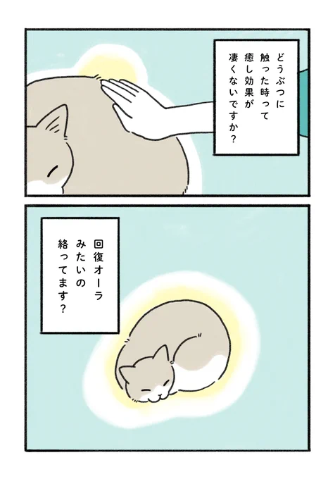 アニマルのセラピー力ってすごいですよね🐱

#みちこの日記   #コルクラボマンガ専科 #猫がいる暮らし 