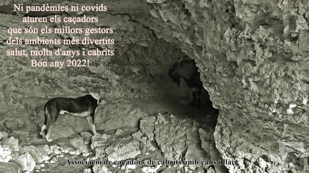 Cabrits i Cans tweet media