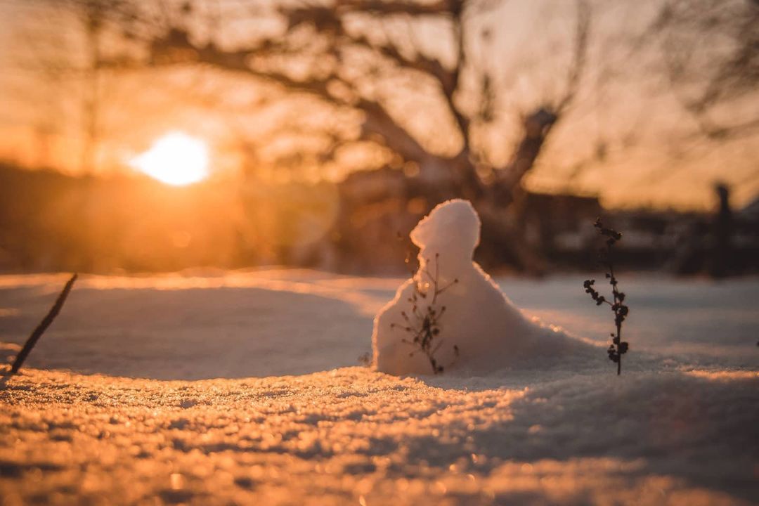 Sever_pravda's tweet photo. Холодно 🥶 Сколько градусов сегодня показал ваш термометр?

📷: Андрей Куракин https://t.co/NQ0mbw375J