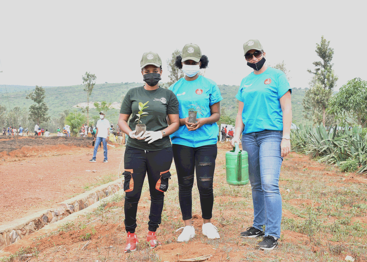 rckigali's tweet photo. Max appreciation to all the #Rotary & #Rotaract clubs as well as friends of Rotary that contributed to this huge success. You are all making the environment a better place for everyone. @Rotary
#PlantWithRotary https://t.co/WVHTtl9P0w