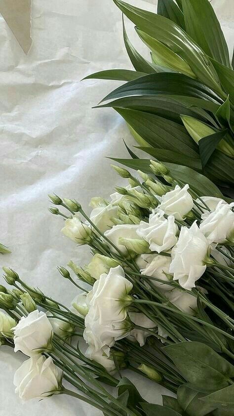 Deya' Magdy (@defr313j) on Twitter photo 