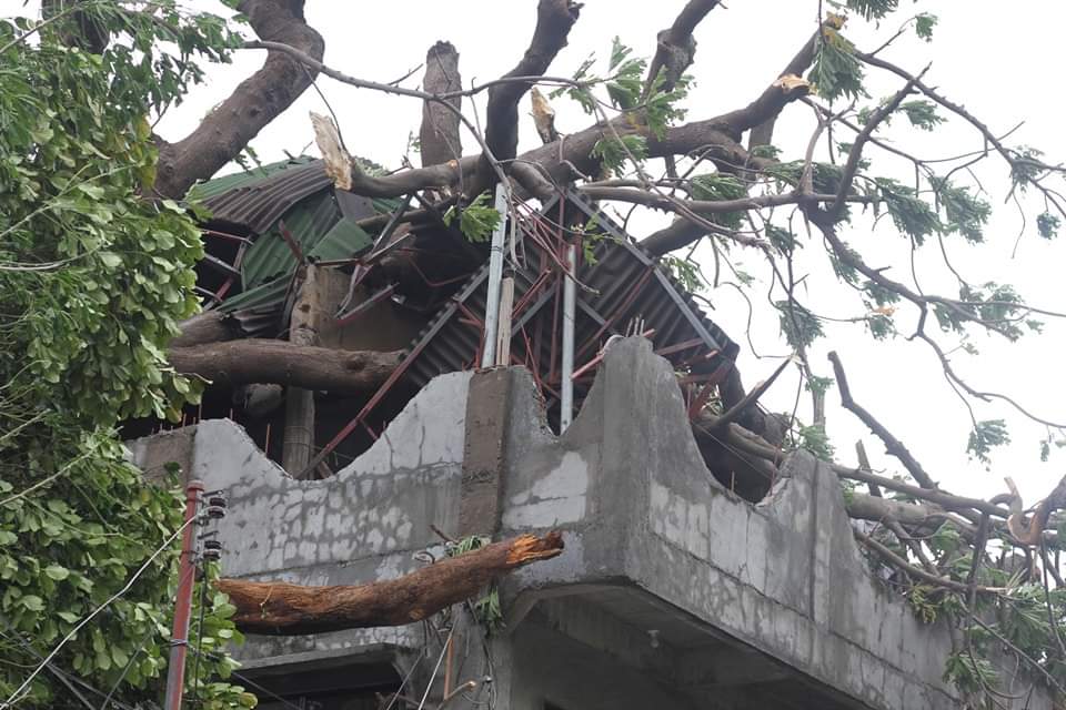 tamil_ph's tweet photo. Another 1 $Axs ❤🙏
Hope our family over cone these critical situation 😢 https://t.co/U4HlehTOX3