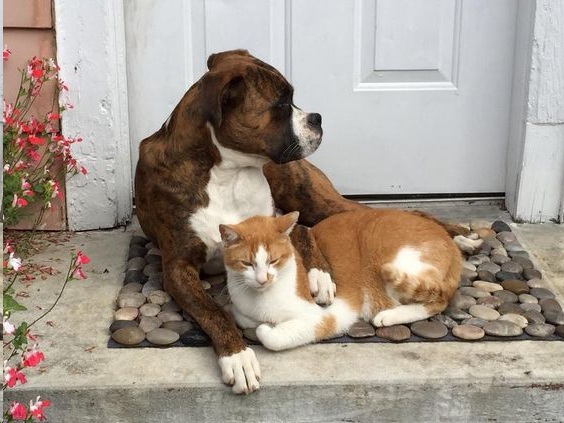 BOX VILLAT tweet media