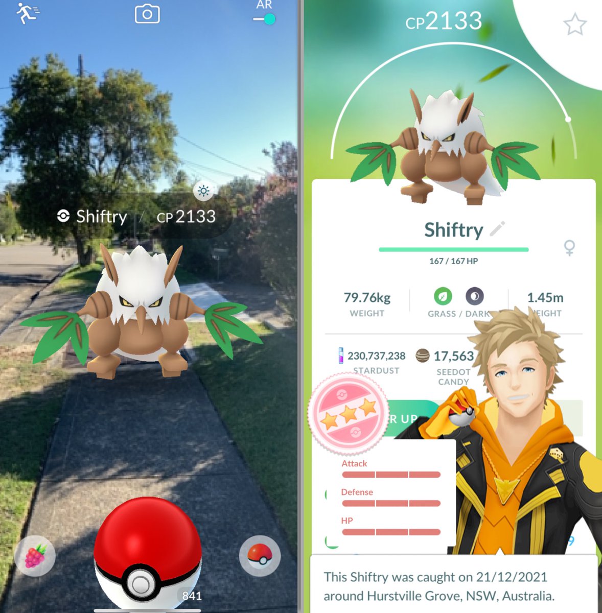 ItsFleeceKing's tweet photo. How’s this for a rare spawn? 

Wild level 34 hundo Shiftry 😳💯 https://t.co/oPK6MM0HJI