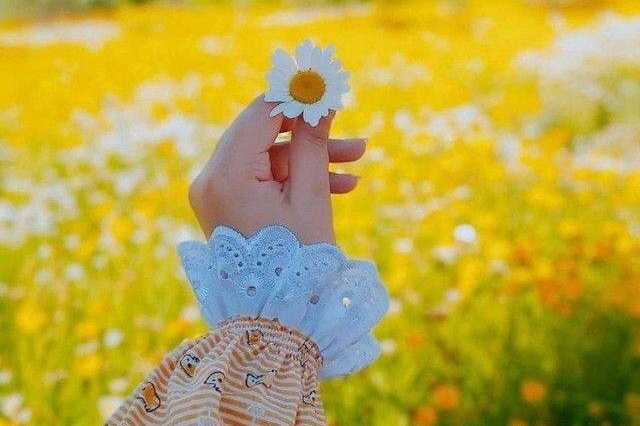 UmKenan6's tweet photo. "توقع الخِذلان من الجميع، حتى ذلك الذي تستثنيه 🤍 https://t.co/nSJrJyZG1b