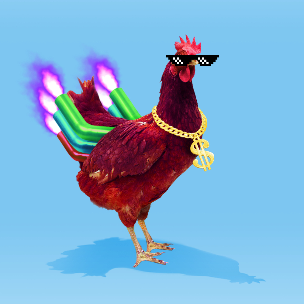 Bobo 👾🐓🏝 tweet media