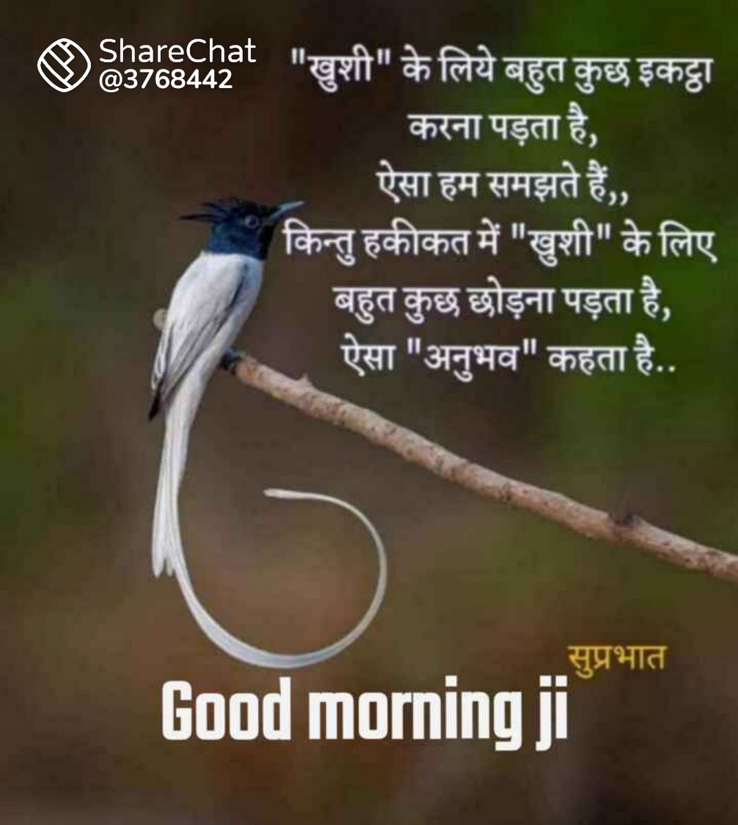 manoj singh (@santosh25800797) on Twitter photo 