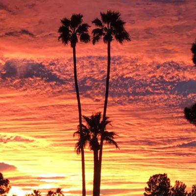 Humpback_Chub's tweet photo. #Az #sunset #photography #phoenix https://t.co/28zcRiHSHU
