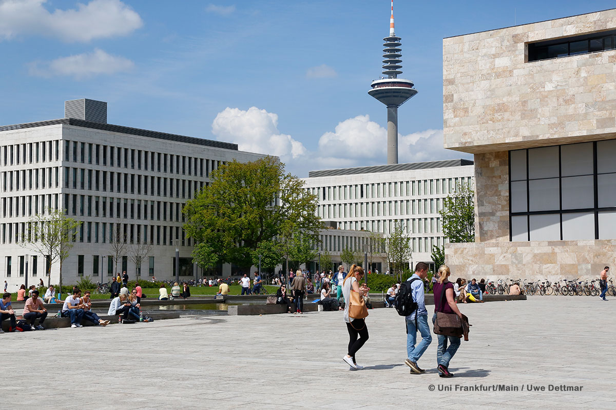 ResearchGermany's tweet photo. Pusuing a career in #DesignMethodology ? Look at this open #PhD position at @goetheuni - Take your chance! 👉https://t.co/QYJPiKSRwx #PhDGermany #ComputerScience https://t.co/qSl01bczHf