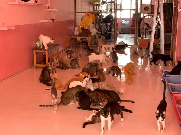 Fird_4u5's tweet photo. Keadaan terkini budak2 dekat shelter. Isteri says dalam keadaan penat yang amat, jika ada yg sudi menghulur tenaga, jemput terus ke shelter https://t.co/pBMCAPdclA