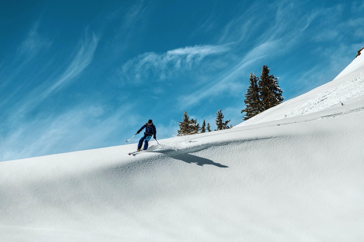 UFT / FTV tweet media