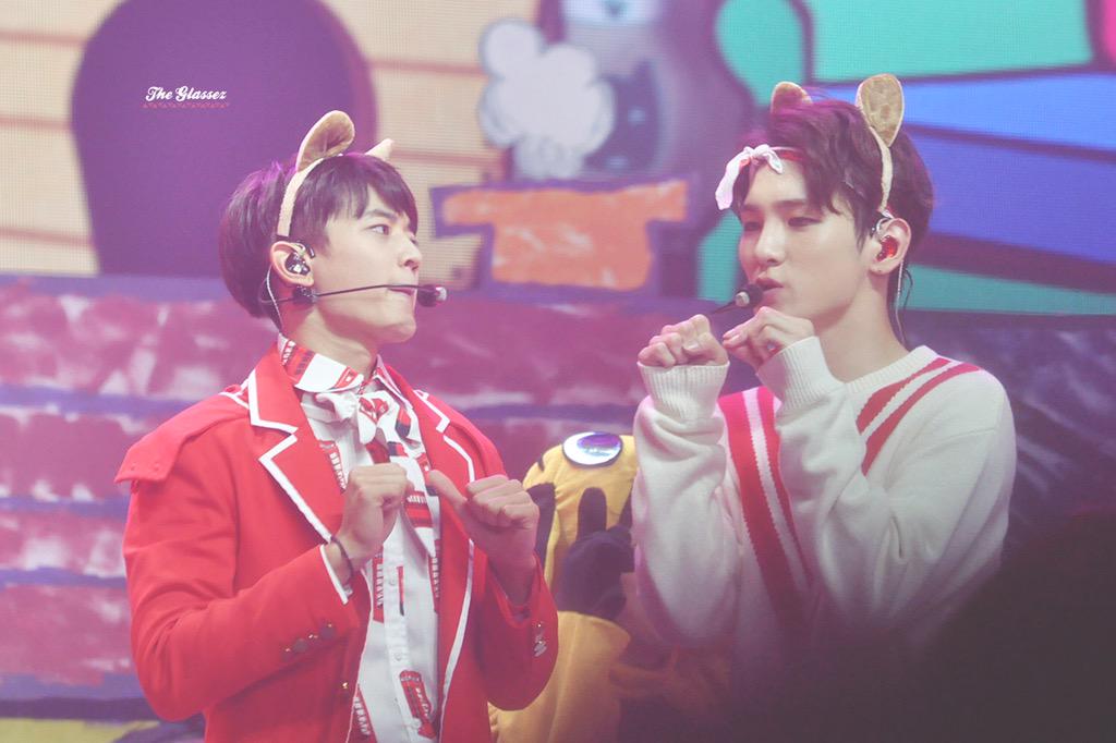샤비 tweet media