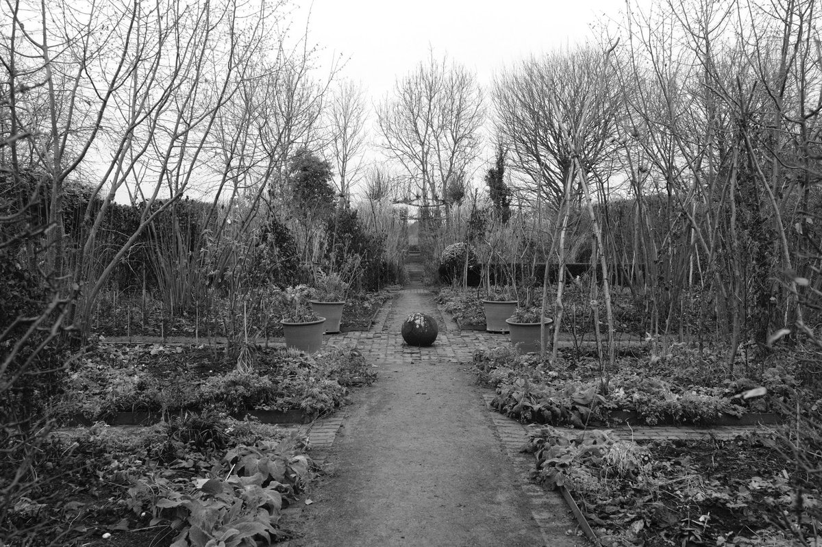 TheMontyDon's tweet photo. A garden is always rich with hope: today’s winter solstice contains the promise of Spring and Summer. https://t.co/mY3rbIpG4v