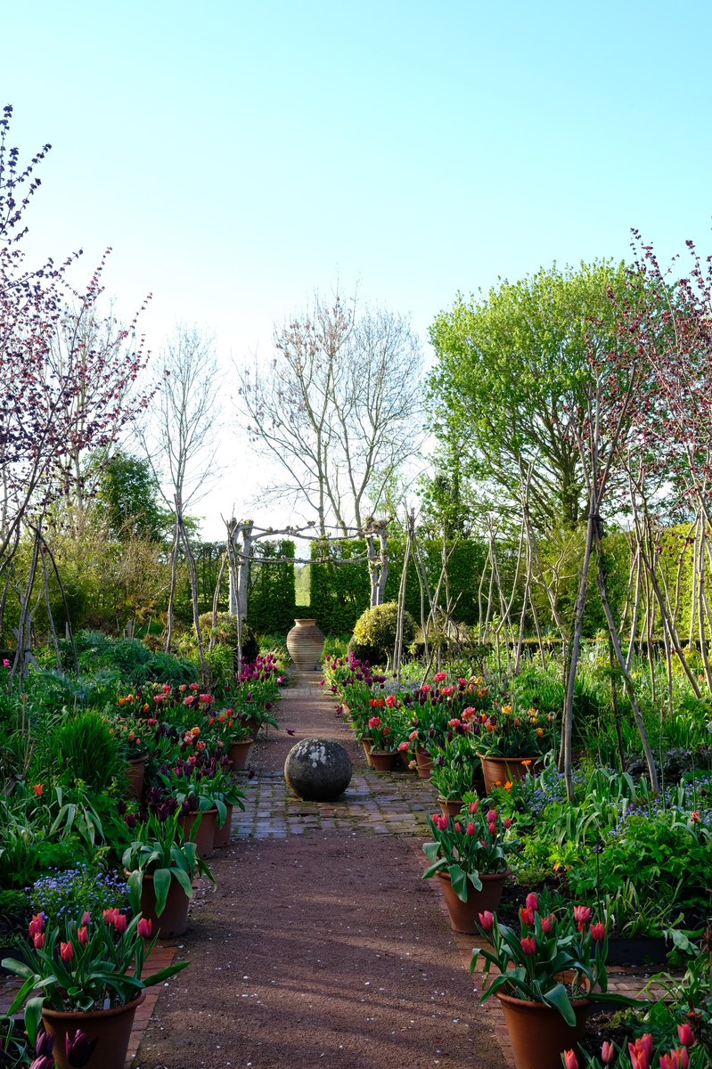 TheMontyDon's tweet photo. A garden is always rich with hope: today’s winter solstice contains the promise of Spring and Summer. https://t.co/mY3rbIpG4v