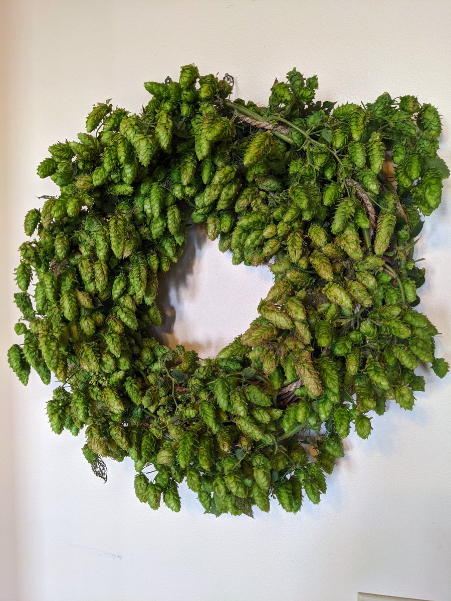 Today's winter #solstice marks the turning point where days start to get longer. While not as important for #hops, it is the gentle reminder that our next growing season will be here before we know it.