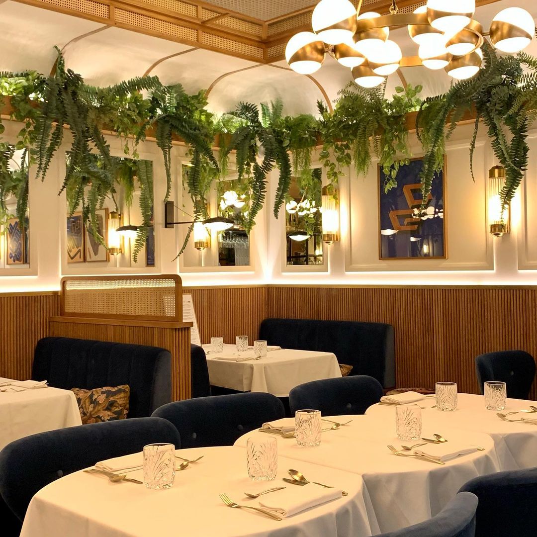 SistersCity's tweet image. 💡😋Os damos algunas ideas de restaurantes que han preparado menús especiales para estas fechas. sistersandthecity.com/restaurantes-c… #menuNavidad #Restaurantes #Donostia #Sansebsatian