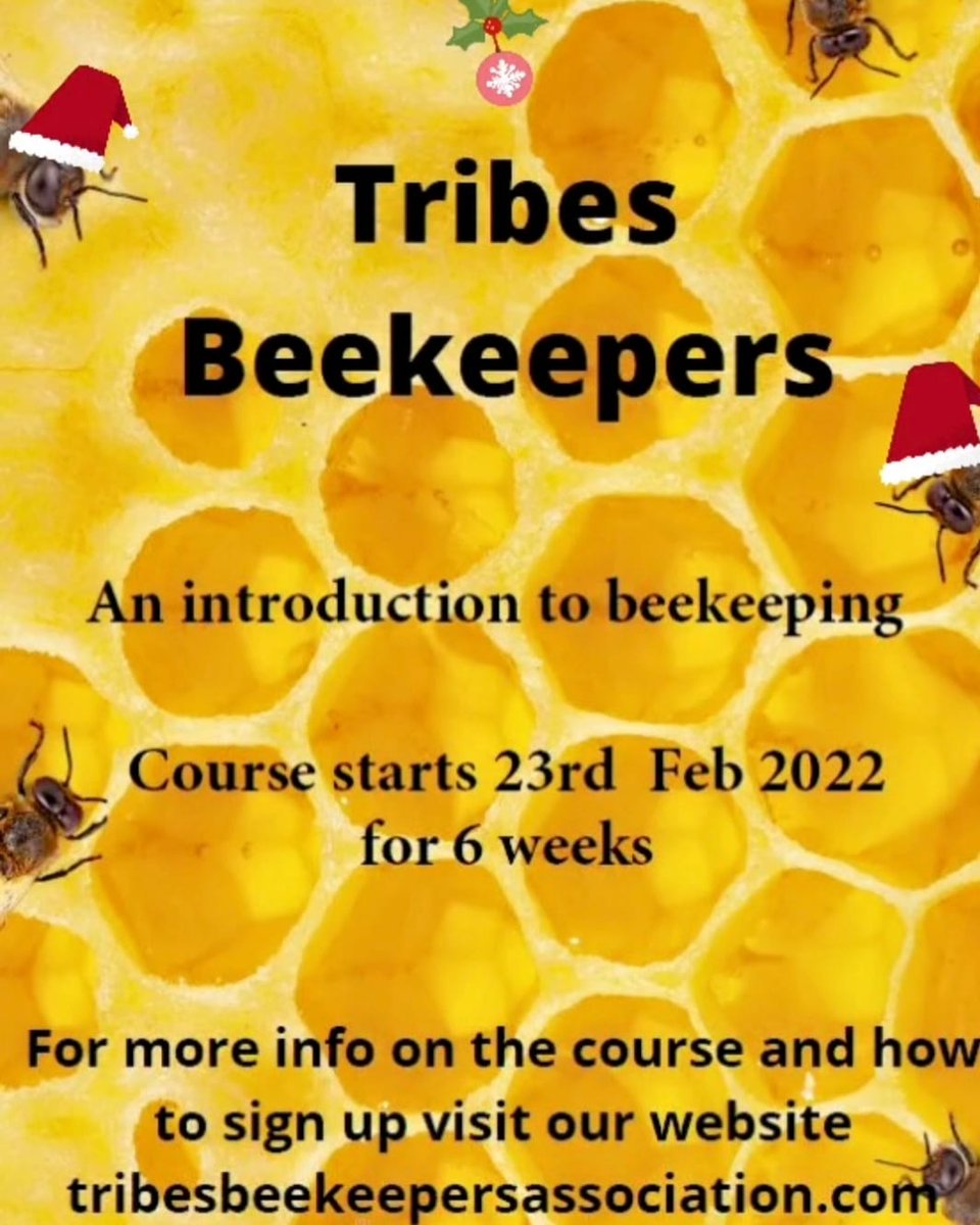 Tribes Beekeepers tweet media