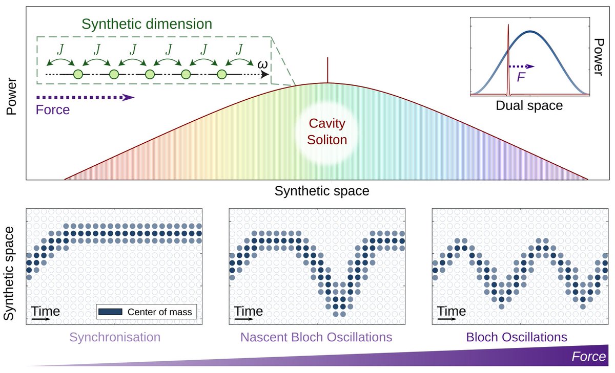 Nico_Englebert's tweet photo. Check out our new arXiv preprint: "Bloch Oscillations of Driven Dissipative Solitons in a Synthetic Dimension". We show that cavity solitons exhibit a new type of Bloch oscillations that depends on the applied force!
https://t.co/FgPjNb5nR4
@sisseleo @GoldmanNathan2 @MErkintalo https://t.co/U49IdhygAY