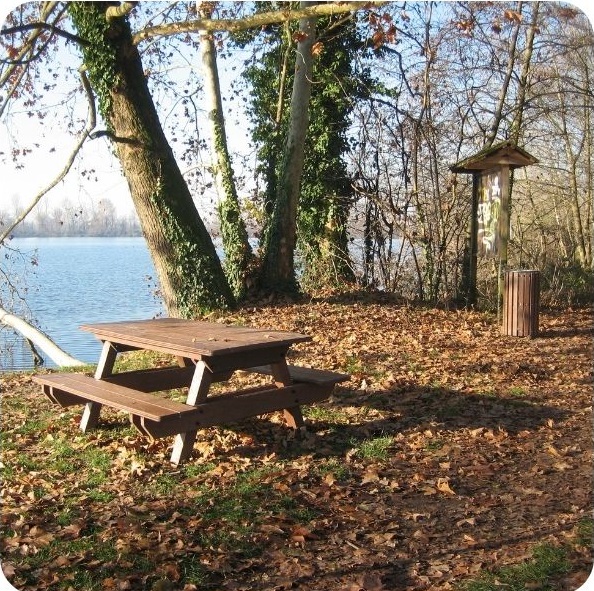 Newsletter Agenda 21 Est Ticino Dicembre 2021. Vi auguriamo Buon Natale e Buone Feste - mailchi.mp/53a8be8318f2/n…