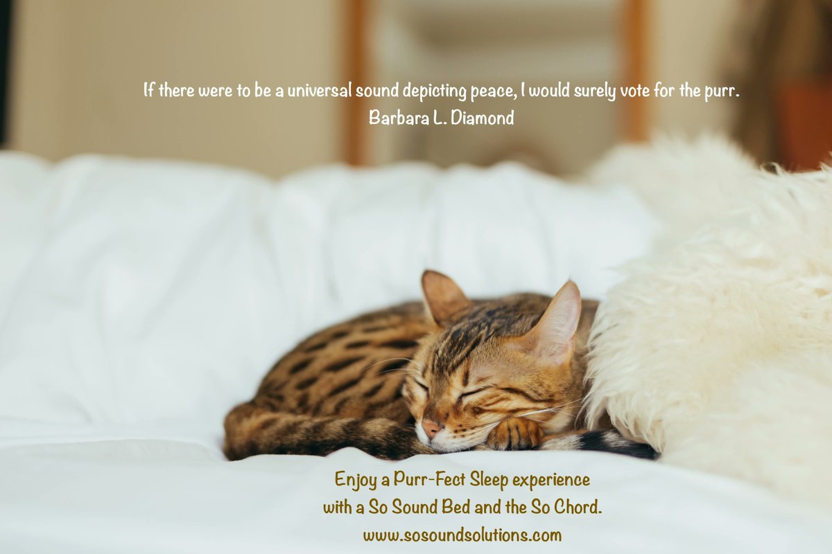 SoSoundSolution's tweet image. 