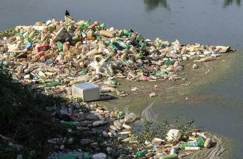 UNEP's tweet photo. Two new UNEP reports underscore the severe threats of marine litter &amp; plastic pollution that endanger human, wildlife &amp; ecosystem health.

More on the need to #BeatPlasticPollution for #CleanSeas: https://t.co/FsxgJQNCGx https://t.co/Ae2w28iRVm
