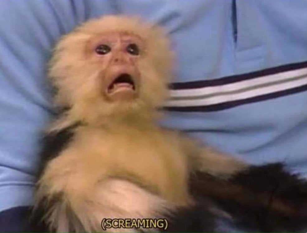 "Went abroad to study for 5 years  and just came back with an order with me business" 💀💀