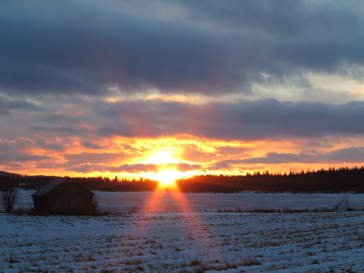 May this solstice and turning of the wheel bring you love,  peace,  and good fortune in the coming year. Let us welcome the returning sun with Hope and Joy #yuletide #WinterSolstice
