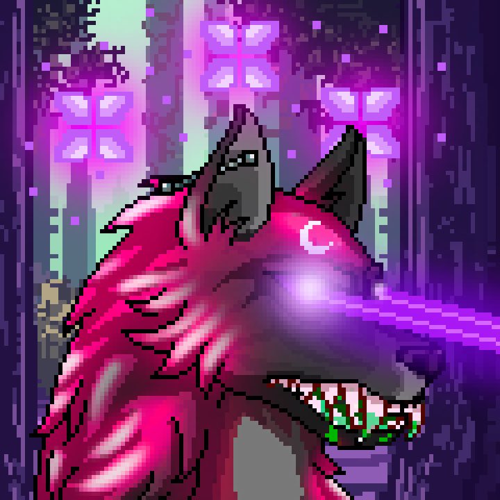 NFTChain22's tweet photo. Name: Divine Wolves
Twitter:  @DivineWolves_ 
Discord: on their Twitter only
Mint price: 0.07 Eth
Mint date:21 dec for pre and 22 dec for public
3000 available for the pre sale and 800 for public sale. 
I think this could have a lot of potential. 
Not a financial advic.
#NFT #ETH https://t.co/g6OgWKLJah