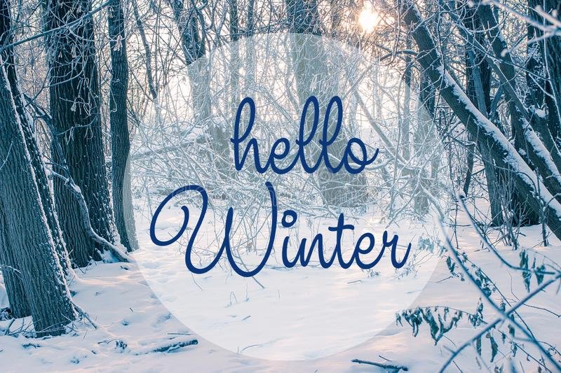#hellowinter ❄🌞❄ #December21st ❄🌞❄ #WinterSolstice ❄🌞❄ #winter ❄🌞❄ #tuesdaymotivations  ❄🌞❄
😊
